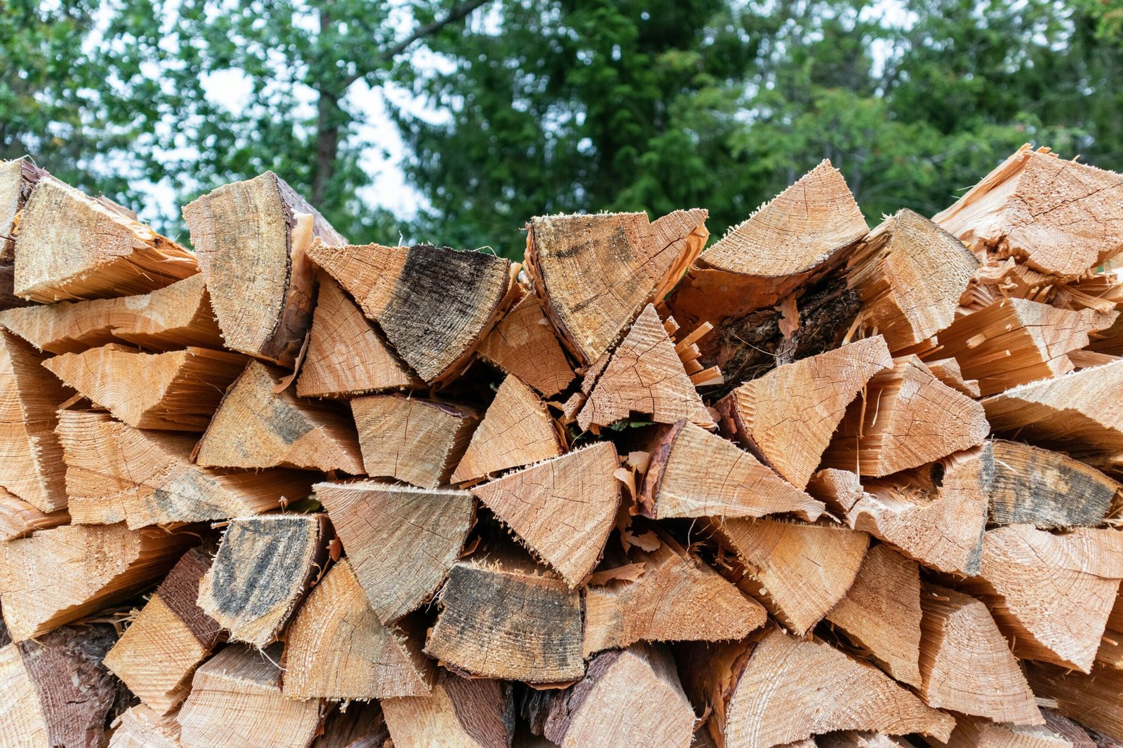 Where to Get Pinon Firewood in Albuquerque: The Best Choice for a Cozy Winter